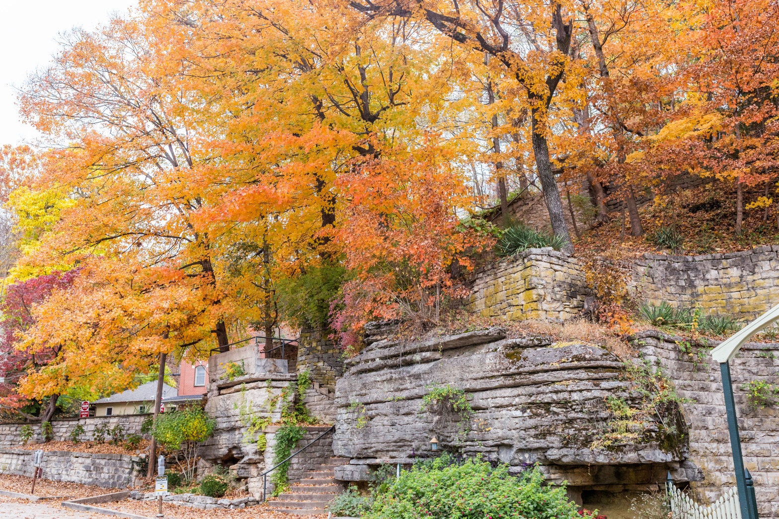 Fall leaves in Eureka Springs